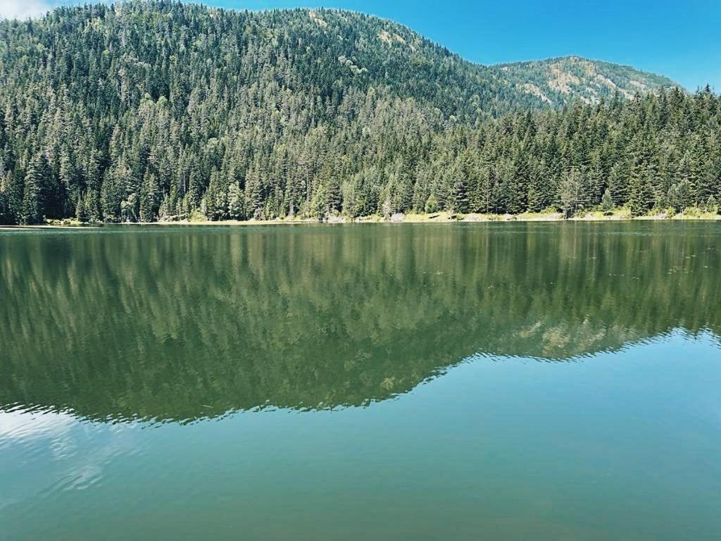 Zminica Lake House Жабляк Экстерьер фото